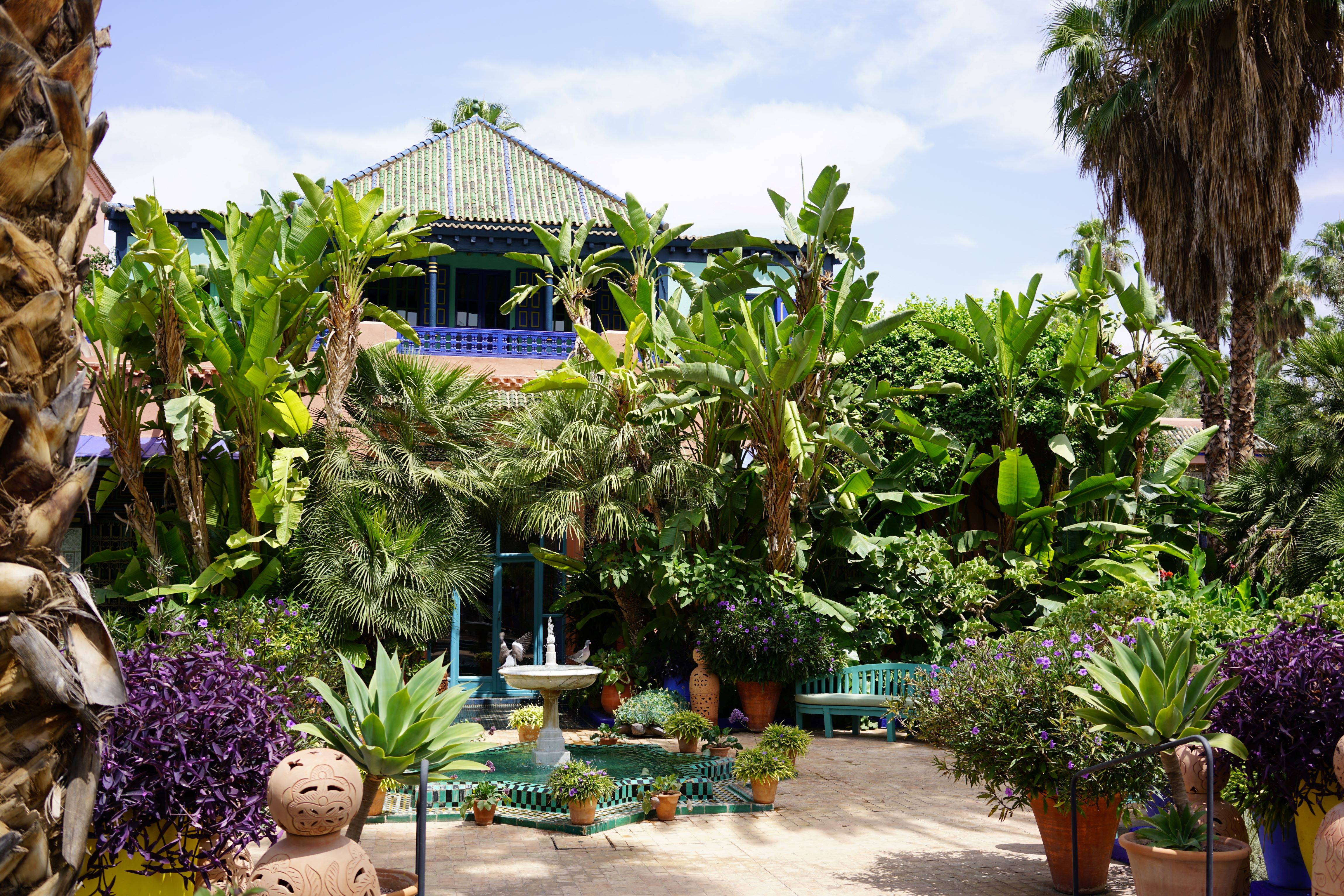 5-tips-for-an-unforgettable-majorelle-garden-experience
