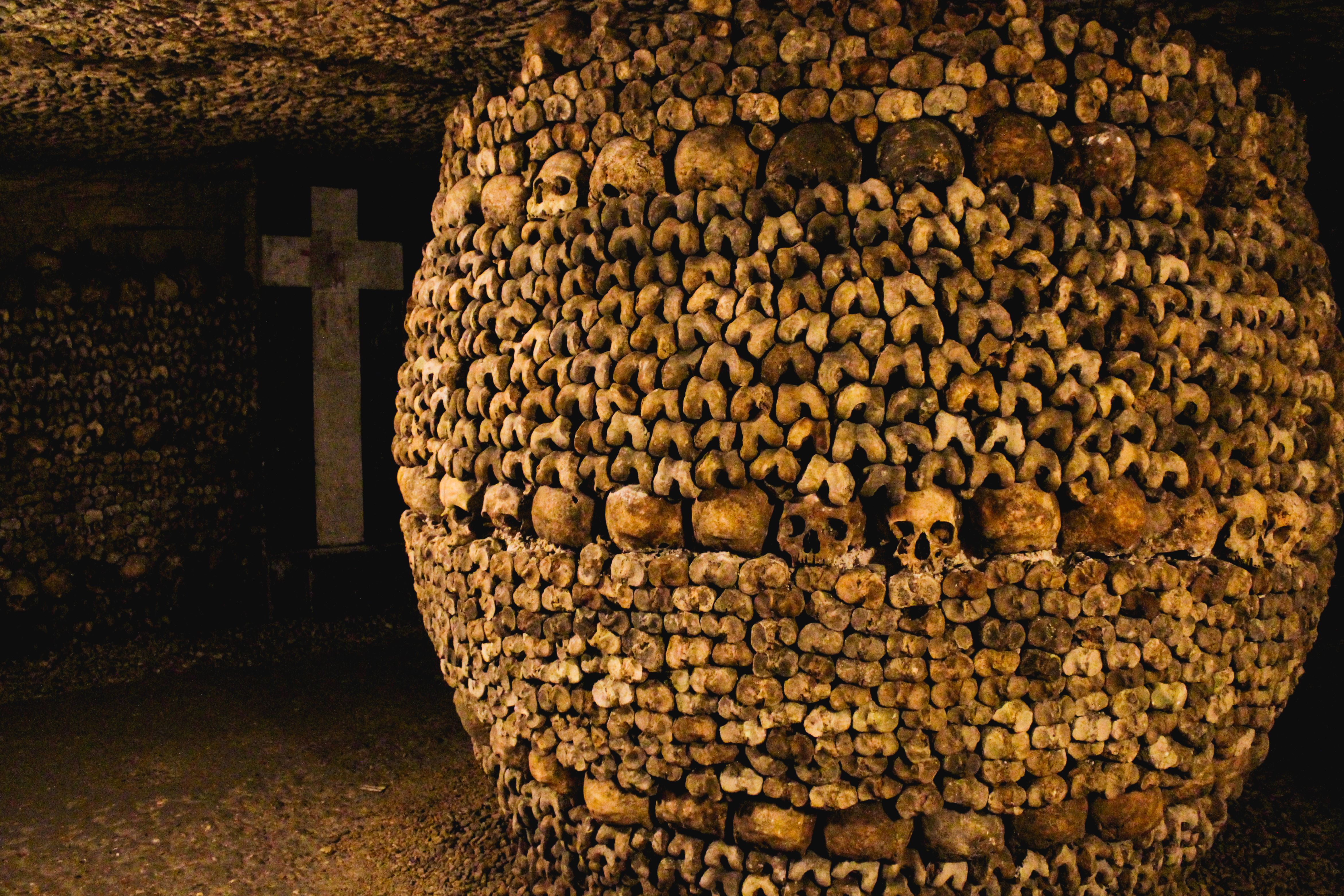explore-the-paris-catacombs-what-really-awaits-you-beneath-paris