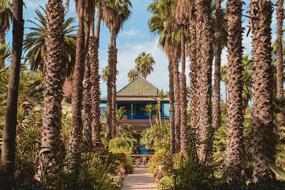 marrakech-majorelle-garden