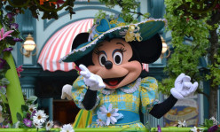 Disneyland Parijs Toegangsbewijs met privé-transfer