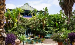 Marrakech: Majorelle Garden, YSL, and Berber Museum Entry