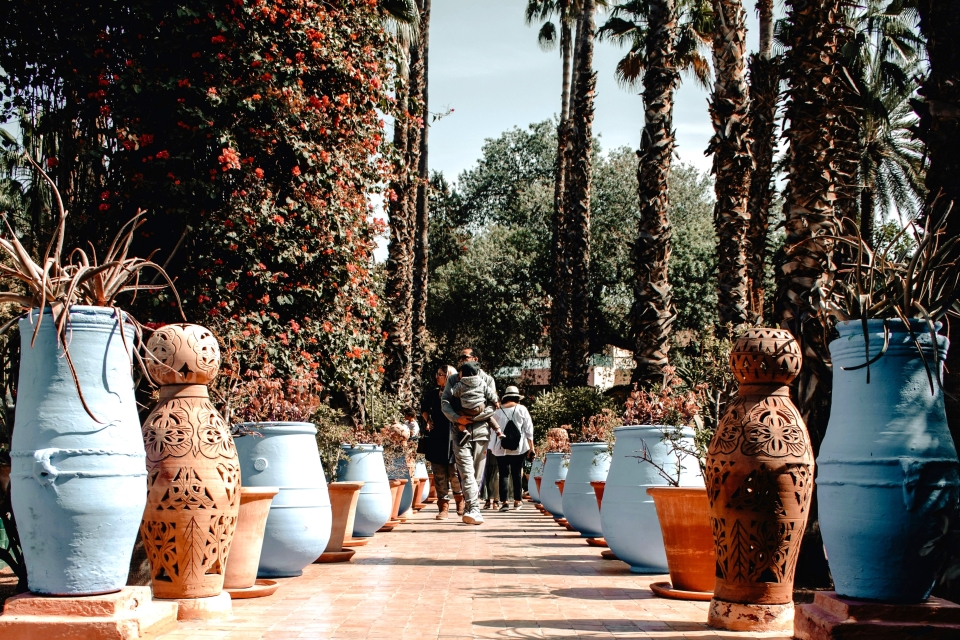Marrakech Majorelle Gardens and YSL and Berber Museum entry tickets
